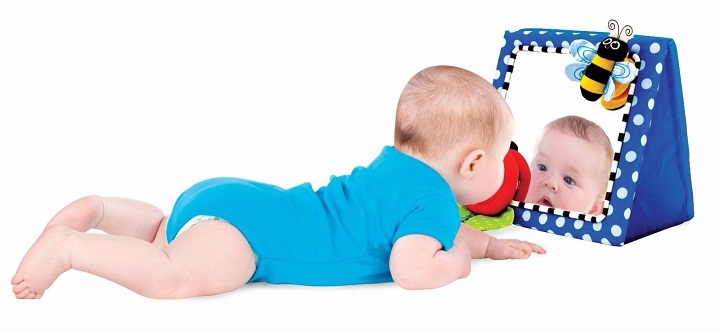 Baby Development Toys